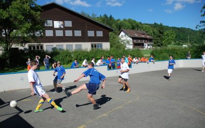 FoFA 2014 I Albisbrunn im Fussballfieber