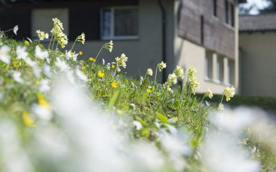 Alles bleibt anders