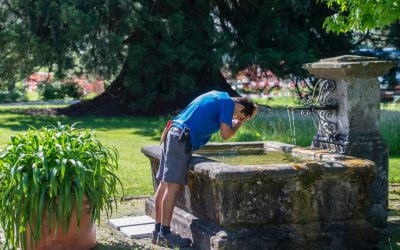 Reduzierter Betrieb im Sommer