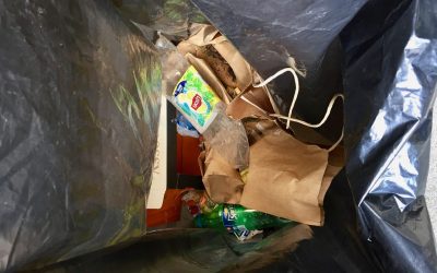 Gemeinsam gegen das Littering