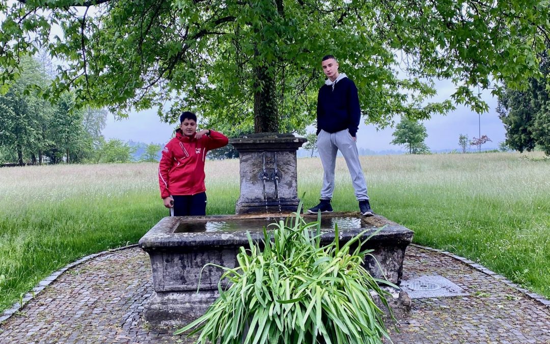 Albisbrunn Bulletin 1 / 2020