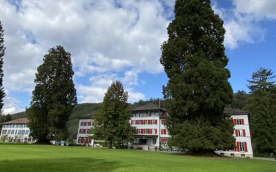 Spendenprojekt «Pausenplatz & Parkgestaltung»