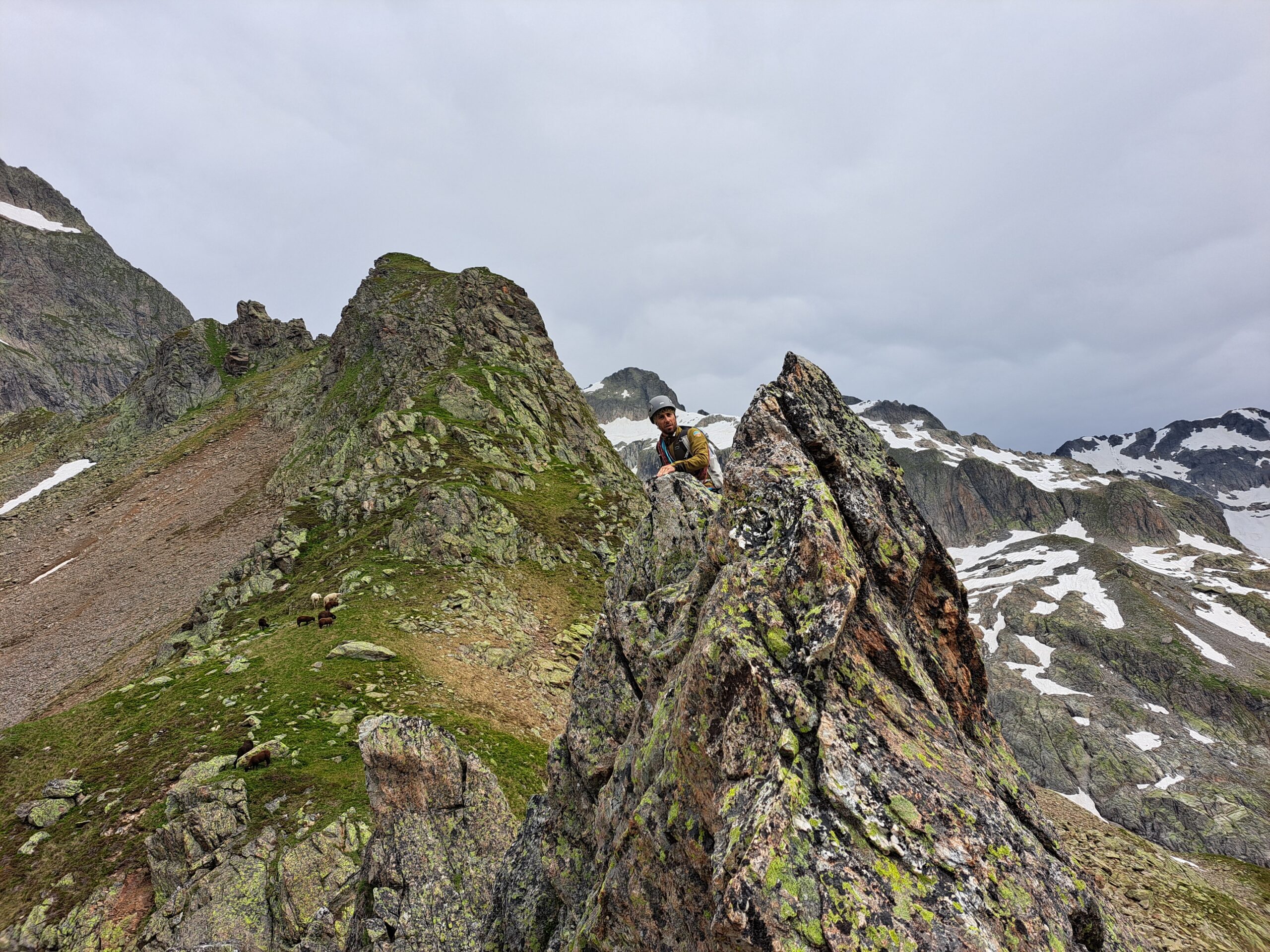 Summit_Trainingsverlauf_3