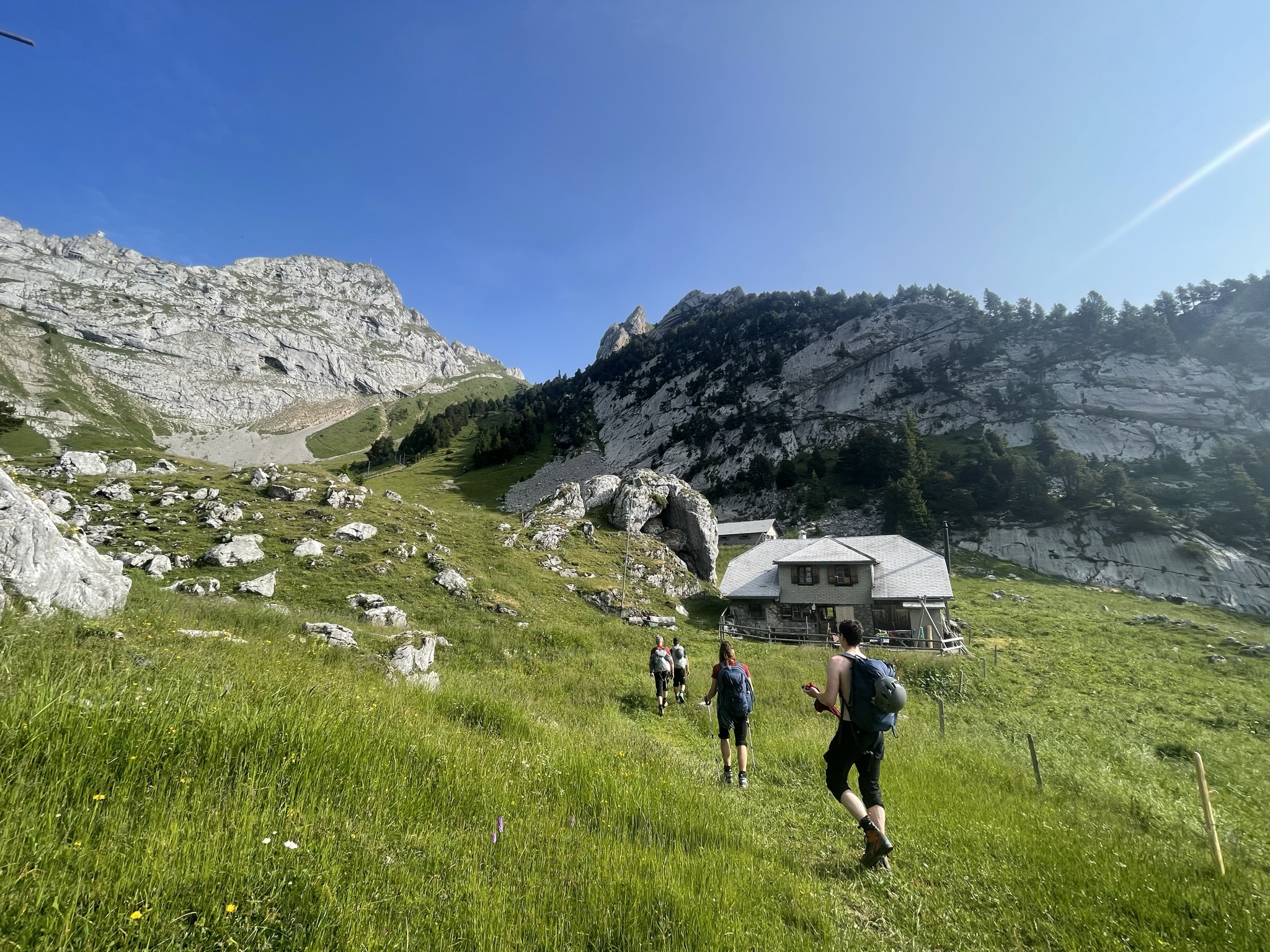 Summit_Trainingsverlauf_4